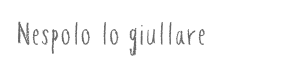 Nespolo lo giullare